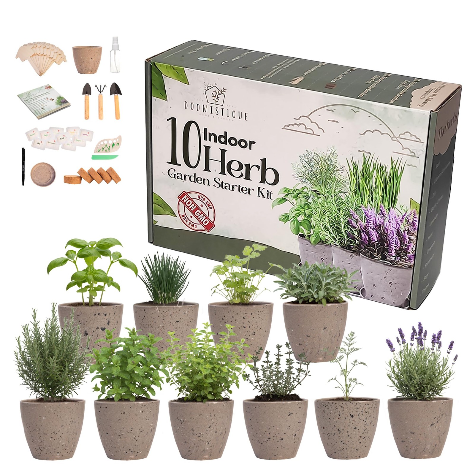 Window Herb Garden Kit – 10 GMO-Free Indoor Herbs with Biodegradable Bamboo P…