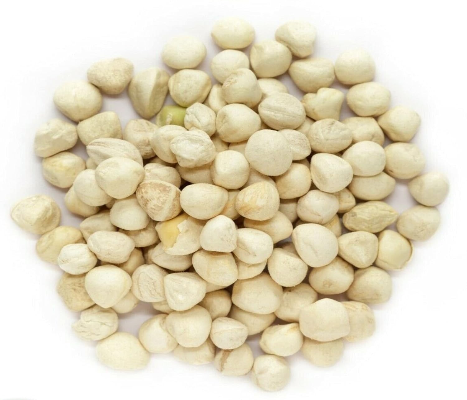 Moringa Oleifera Seeds – 1 Oz. Nutrient-Rich Non-GMO Variety for Culinary Use