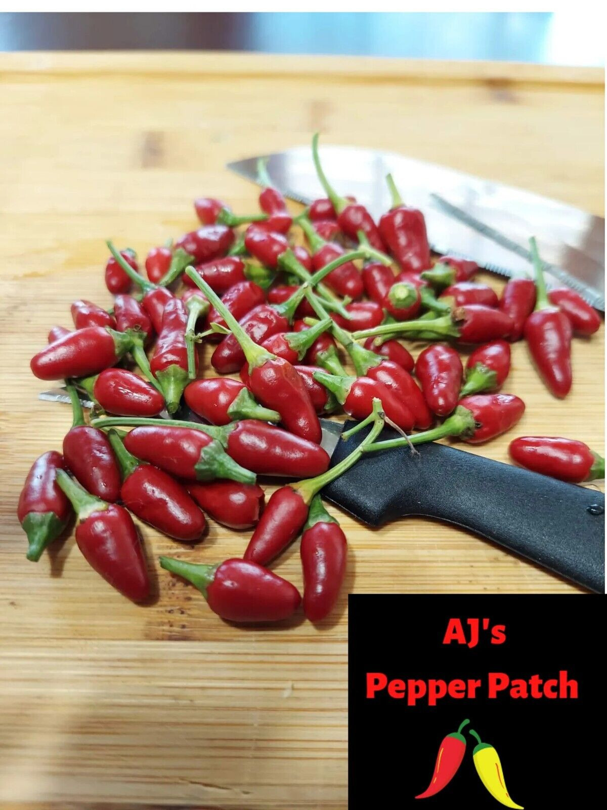 Rare 30+ Organic NON-GMO  Thai chili bird’s eye pepper seeds that are hot.