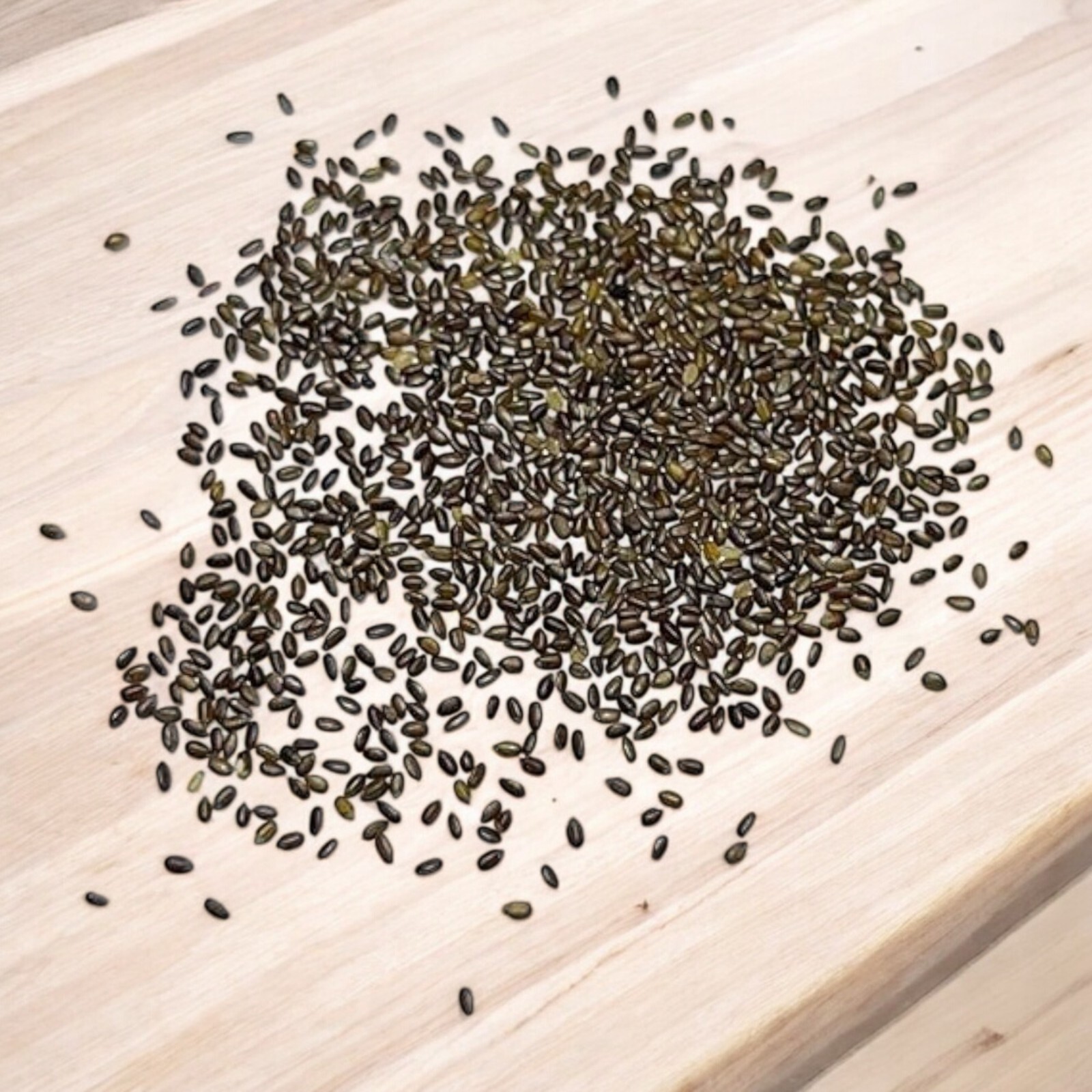 1000pcs Mint Seeds for Planting – Non-GMO Heirloom Herb Seeds Herbal Tea Gardens