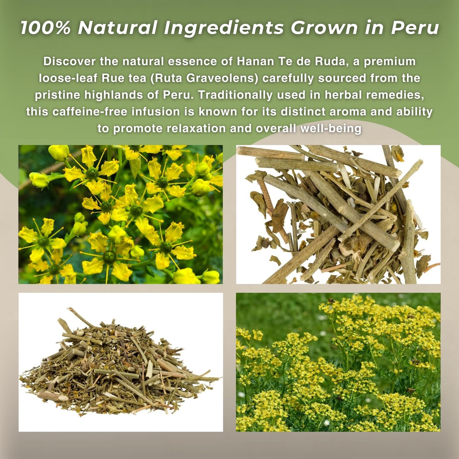 Rue Loose Leaf Tea 40g Natural Herbal Relaxation & WellBeing from Peru