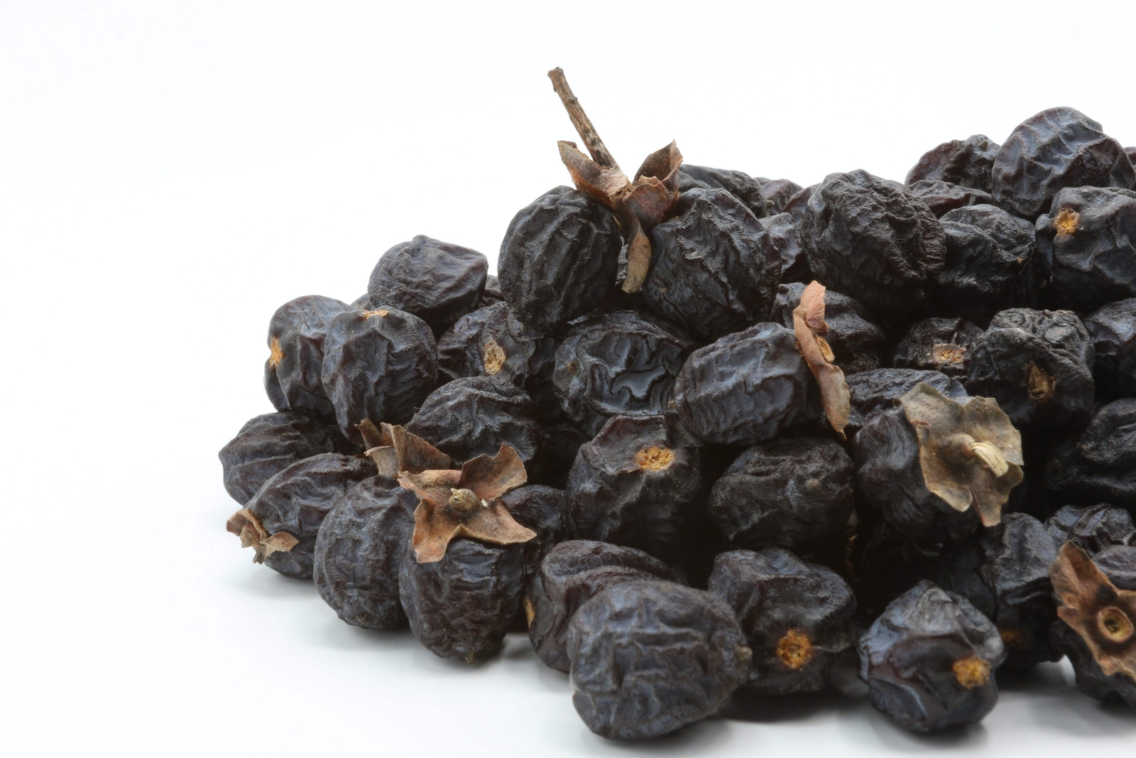 10 ITALIAN PERSIMMON TREE Dateplum Date Plum Fruit Diospyros Lotus Seeds