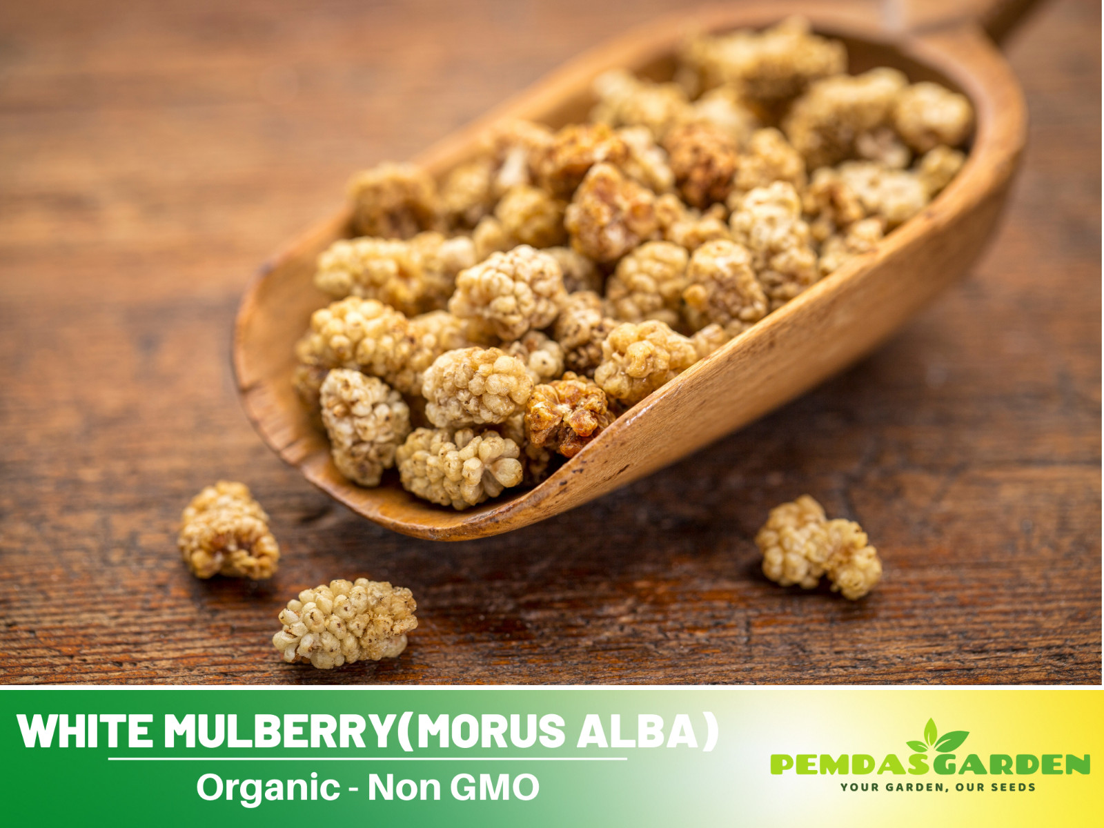 55 Seeds| White Mulberry Fruit Seeds #6032