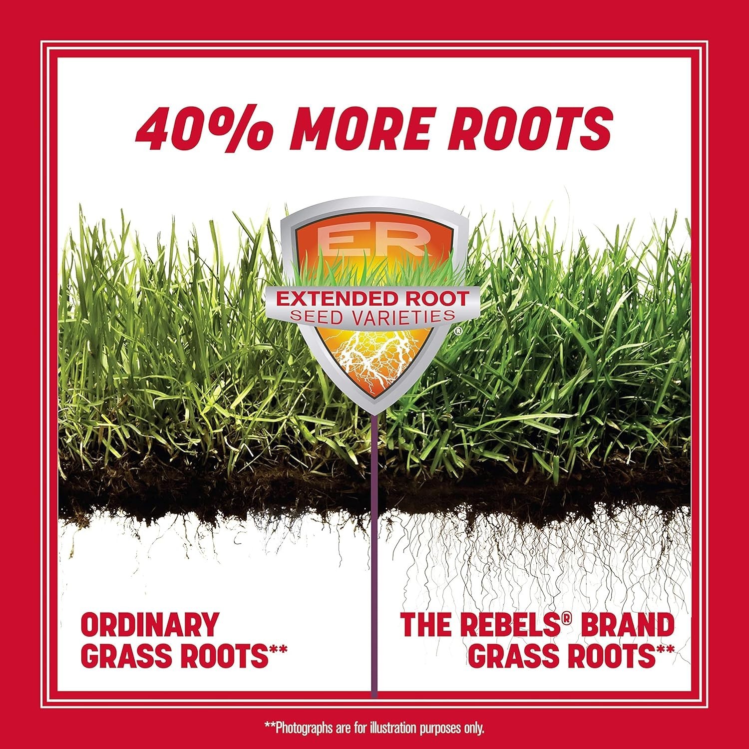 The Rebels Tall Fescue Grass Seed Mix 3 lb