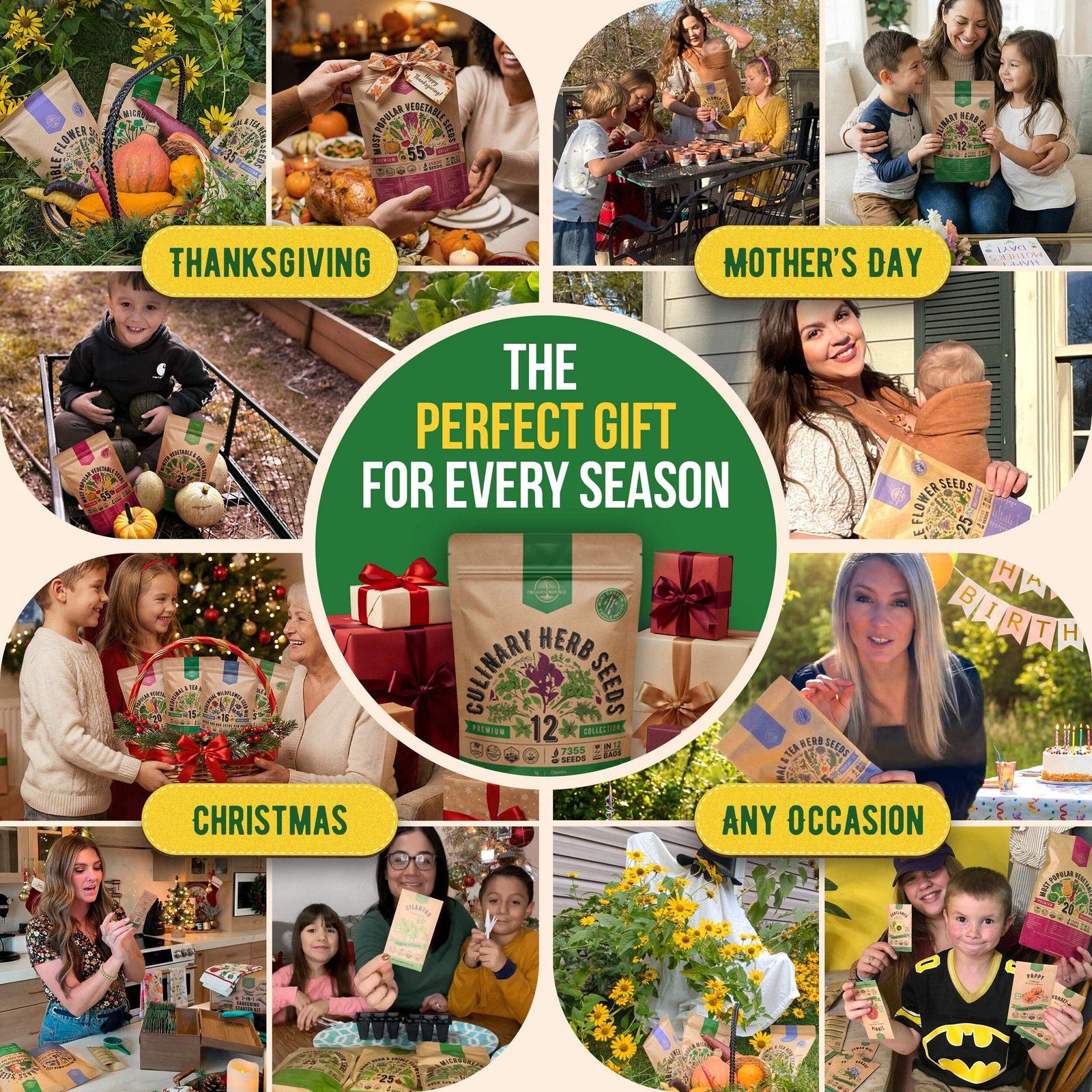 12 Culinary Herbs Seeds Variety Pack