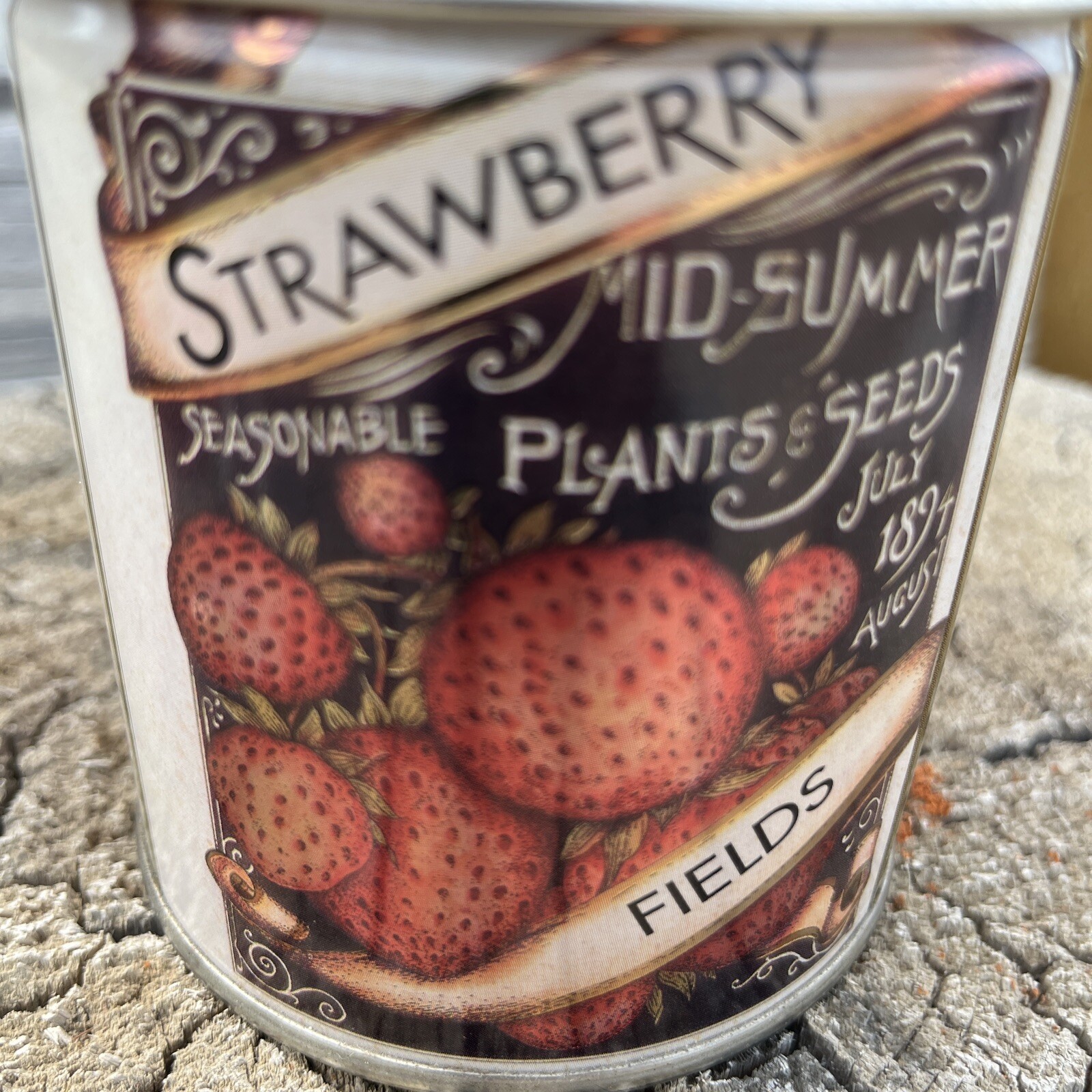 Strawberry Fields Mid-Summer Plants & Seeds Collectible Farmhouse Tin Vintage Ad