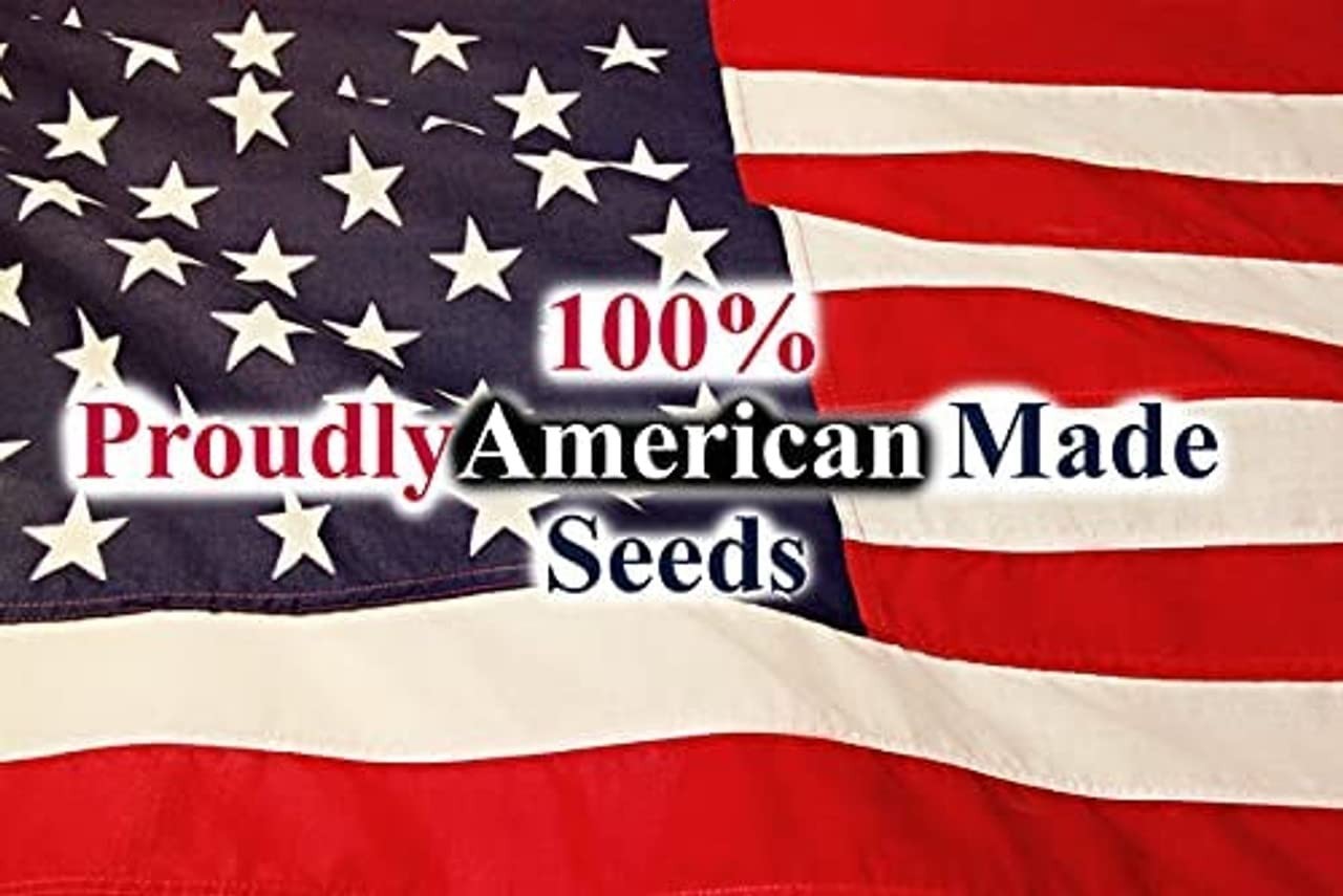 Set of 20 of Our Favorite Premium Variety Current Year Vegetable Seeds – Great