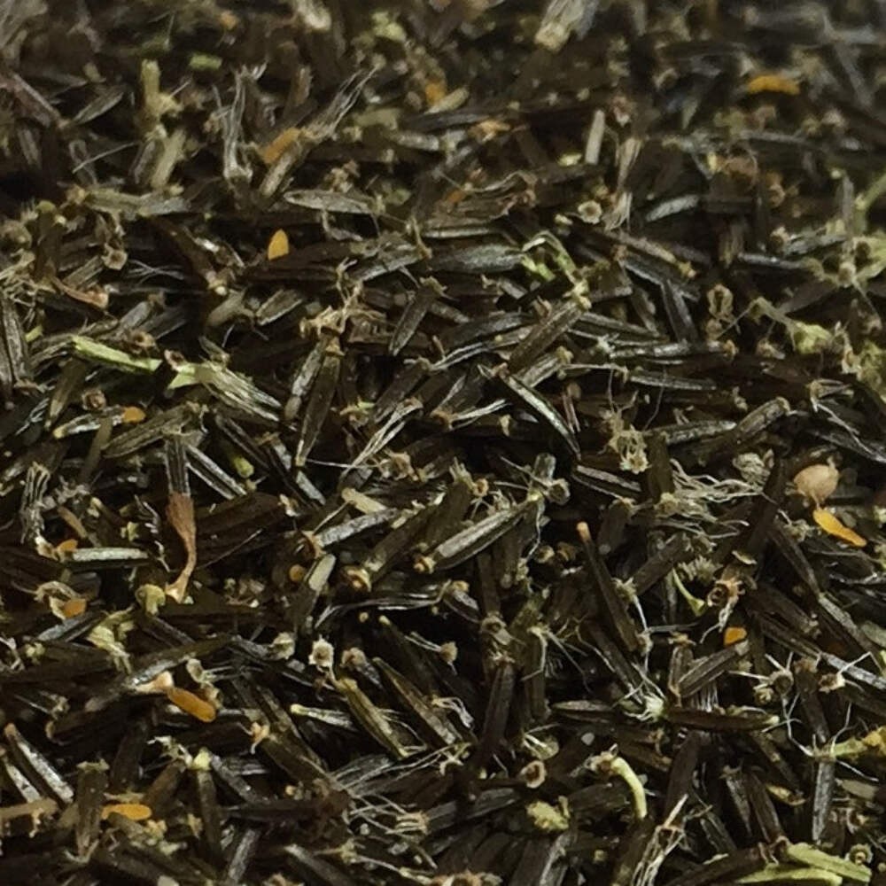 Boneset Seeds (Eupatorium perfoliatum)~Traditional Herb Native Pollinator Garden