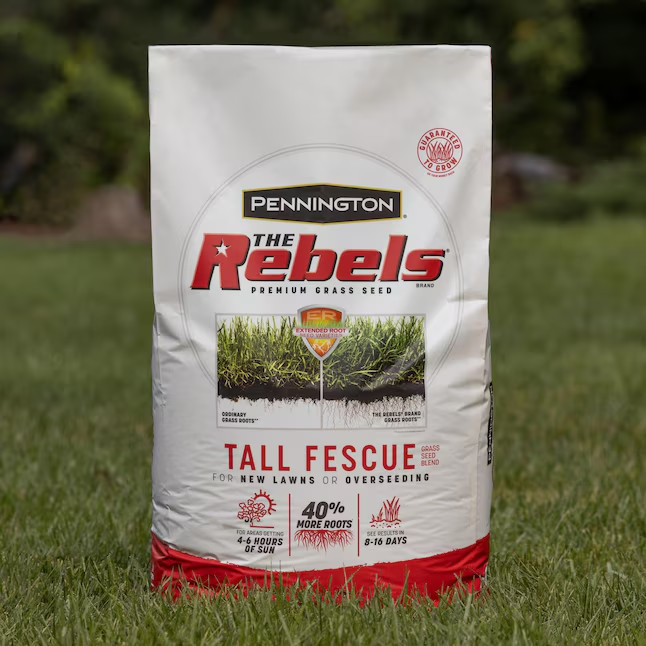 Pennington The Rebels 20-lb Tall Fescue Seed Drought Resistant Lawn Mix