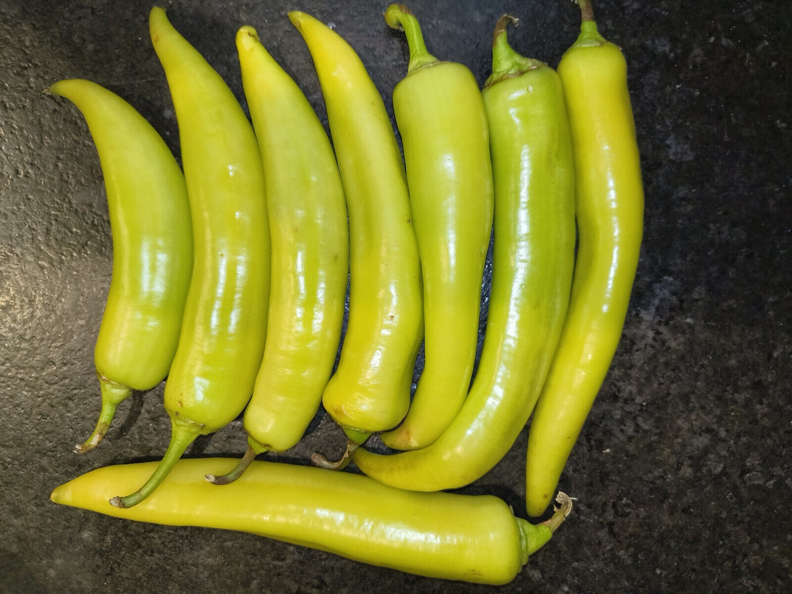 100+ Organic Heirloom Hungarian Wax Pepper Seeds – Mild Sweet Heat! NonGMO