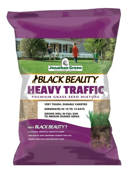 Black Beauty Heavy Traffic Grass Seed, 3 Lb