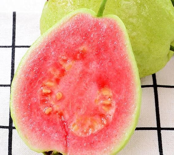 20 Pink pearl guava SEEDS