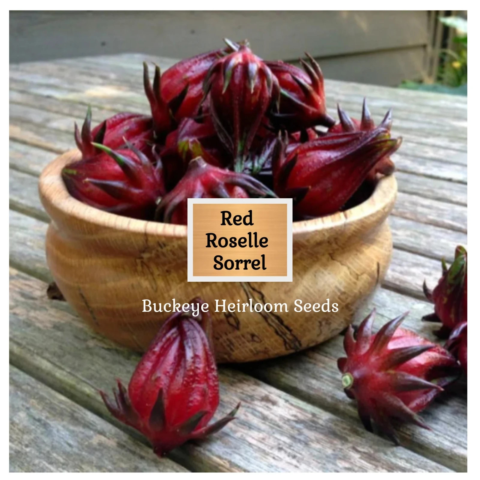 Red Roselle Sorrel | Asian Sour Leaf | 20 Seeds | Hibiscus sabdariffa