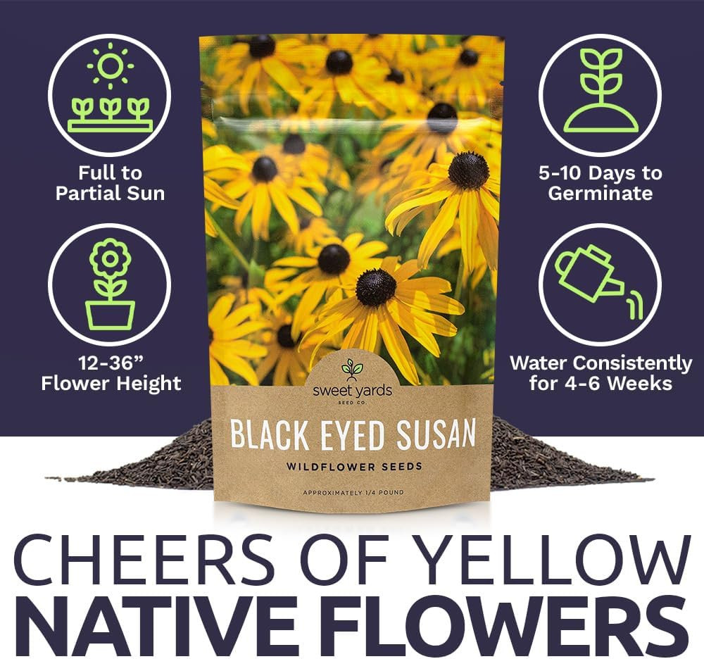 Black Eyed Susan – Bulk Quarter Pound Bag – over 400,000 Open Pollinated Non-Gm