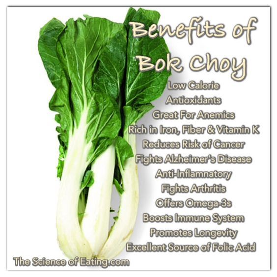 400 Pak Choi White Stem Cabbage Seeds-Non GMO-Open Pollinated-Organic.