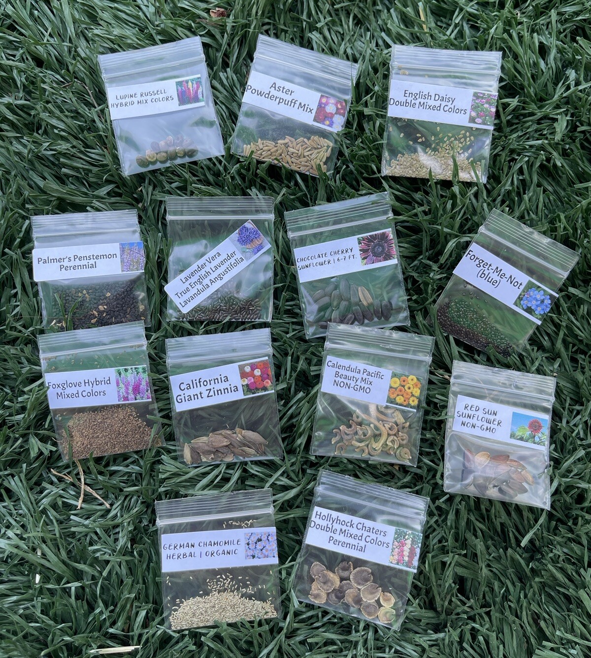 13 Packets of Flower Seeds Package Combo + 2 Mystery Seeds