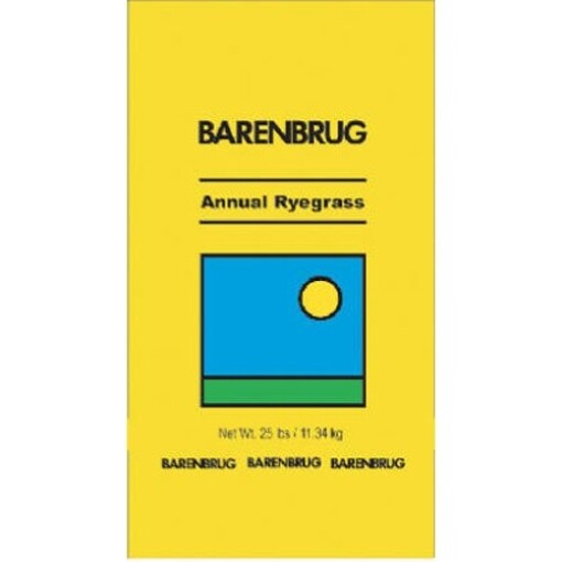 BARENBRUG USA 491172 25 lb Ann Ryegrass Seed