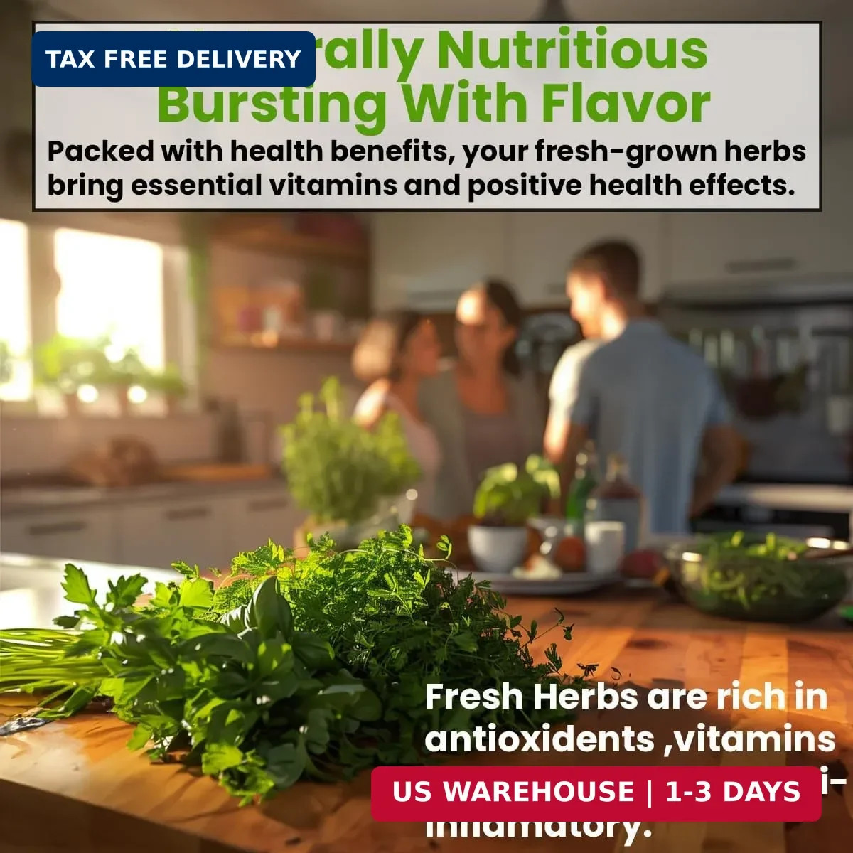 5 Herb Seeds Variety Kit, Oregano, Cilantro, Parsley, Basil, Chives