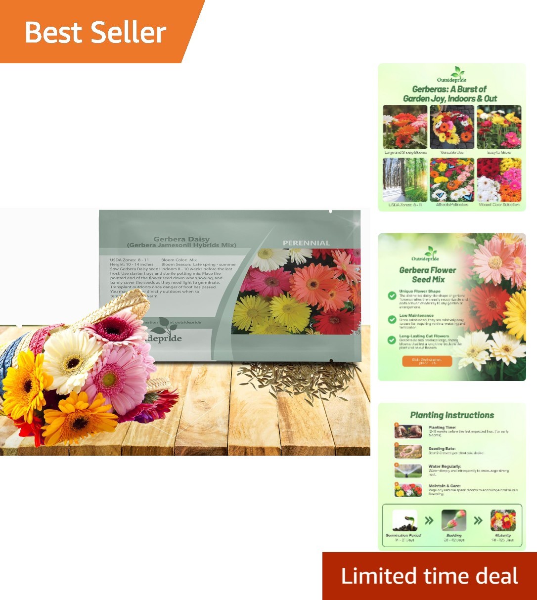 100 Heirloom Hybrid Gerbera Seeds – Beautiful Blooms for Spring to Fall Beauty