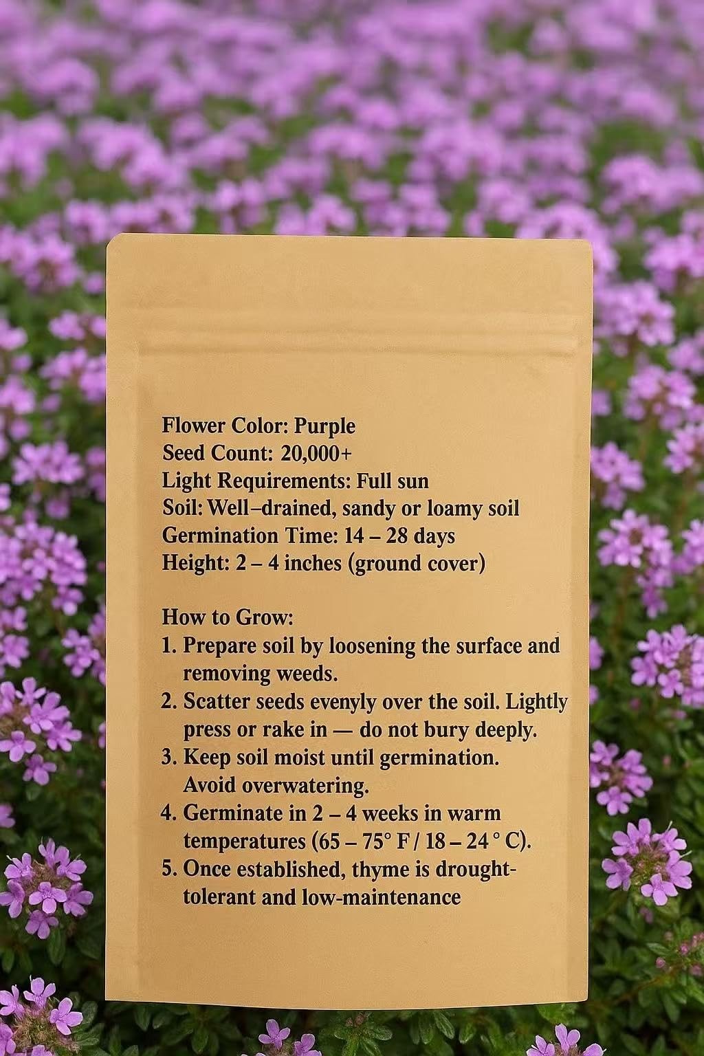 20000+ Creeping Thyme Seeds for Planting -Perennial Ground Cover Plants Flowe…