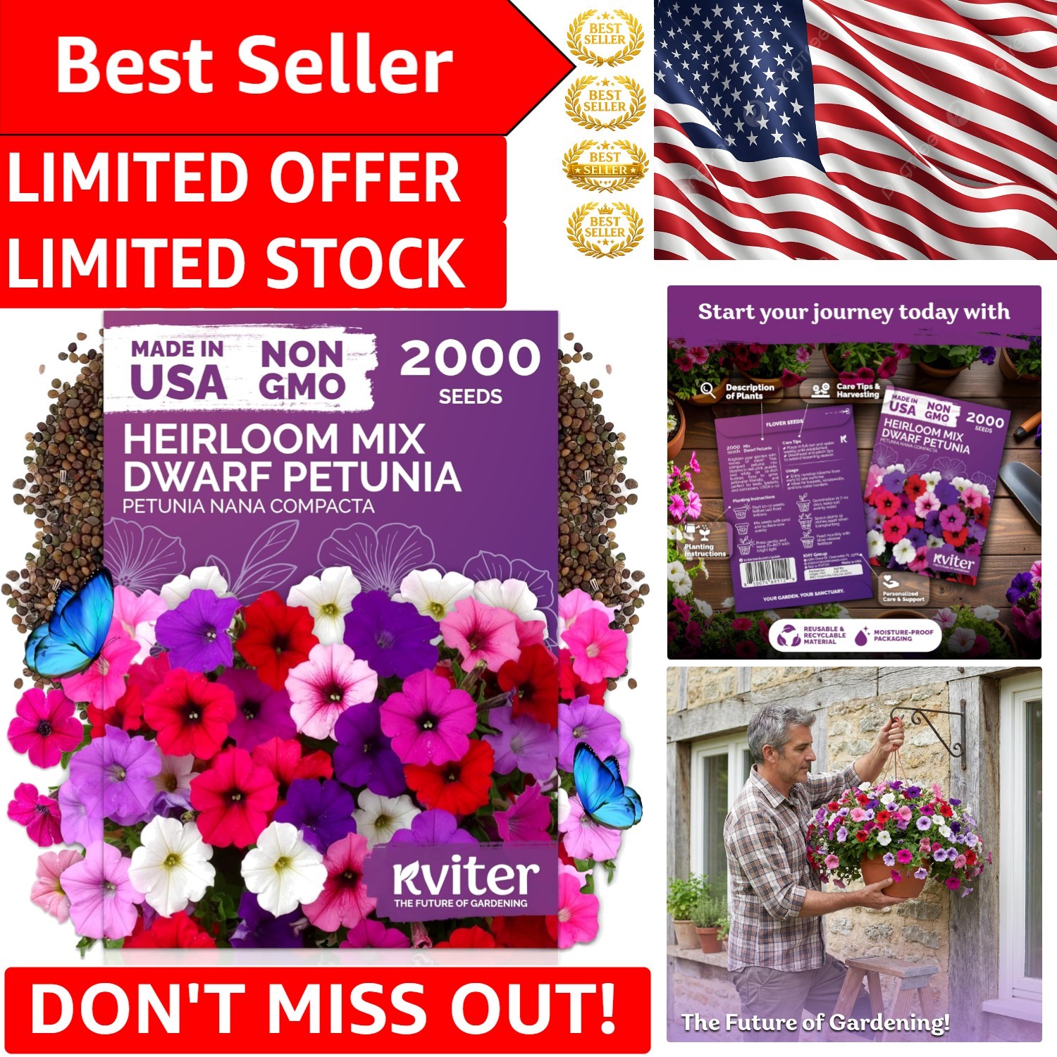 Vibrant Dwarf Petunia Seeds – 2,000 Heirloom Organic Flowers for All Seasons