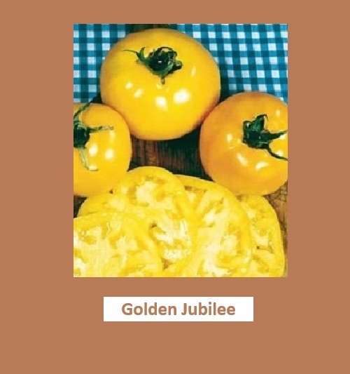 Heirloom Tomato Seeds Assortment – 8 Garden Favorites 200 total seeds
