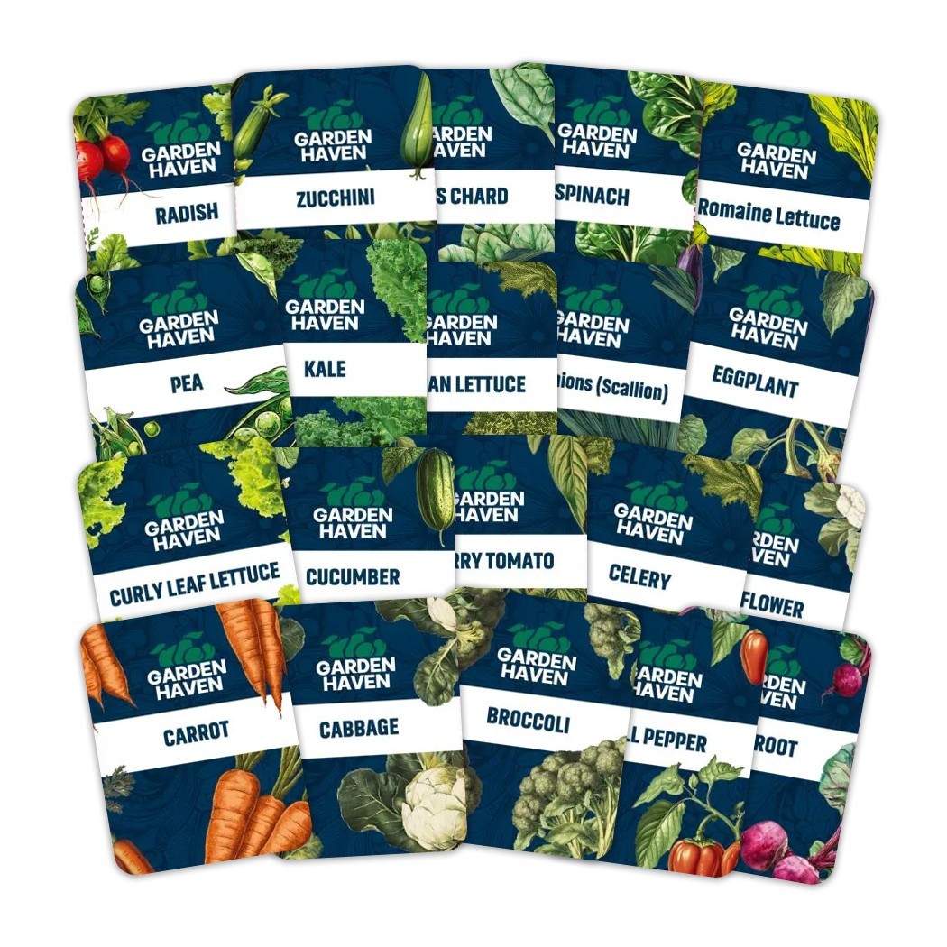 20 Vegetable Seeds Variety Pack Indoor Outdoors Vegetable Seeds