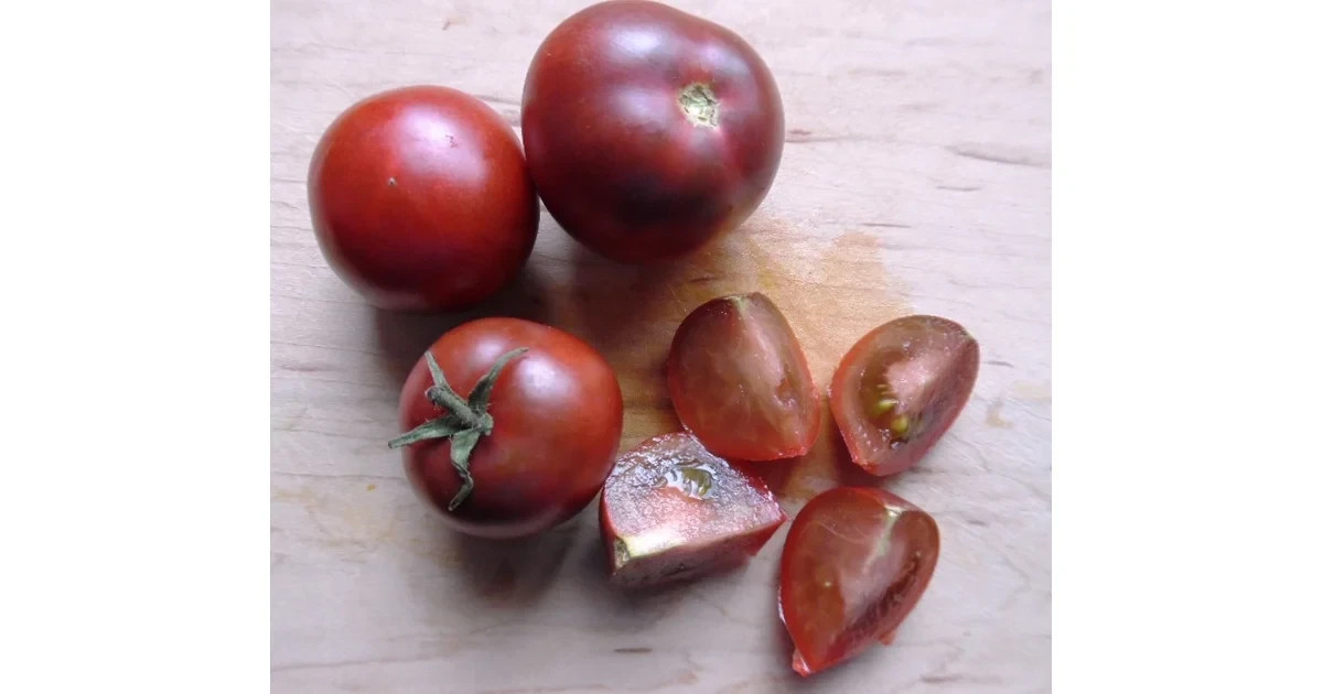 10 seeds Dwarf Velvet Night Tomato Purple cherry ORGANIC Rare Variety DTP