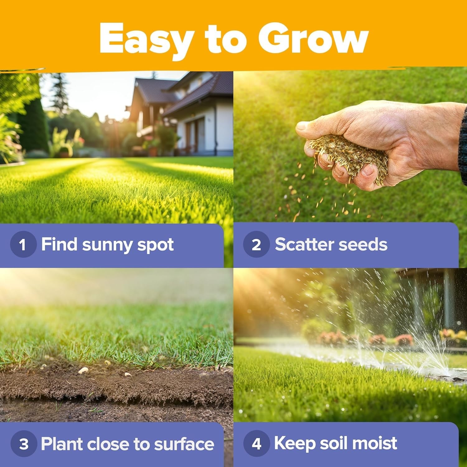 44,000 Seeds – Vibrant Wildflower Mix for Full Sun & Shade – Easy Grow Guide