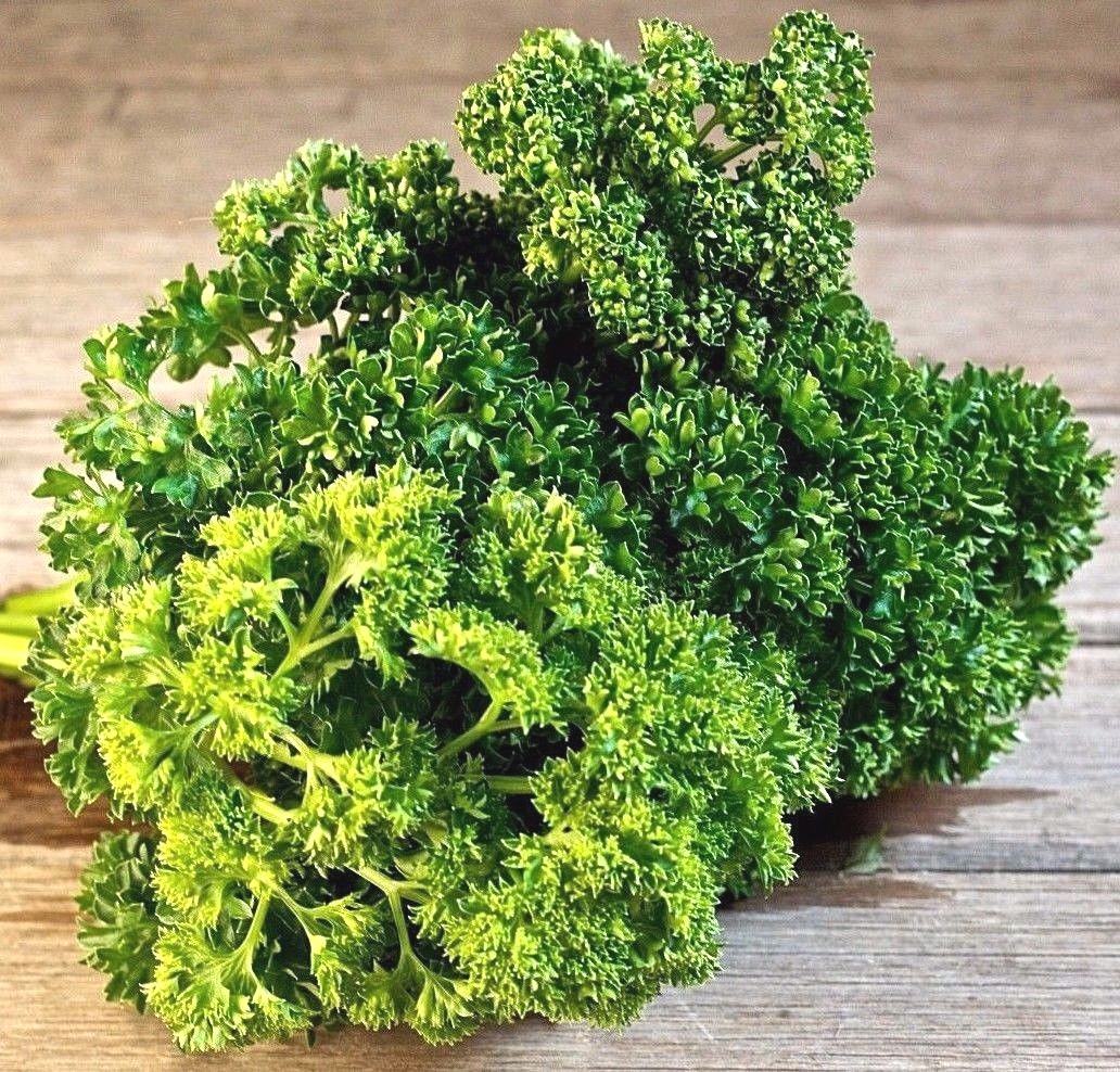 Triple Moss Curled Parsley Seeds, NON-GMO, Variety Sizes, Garnish, FREE SHIPPING