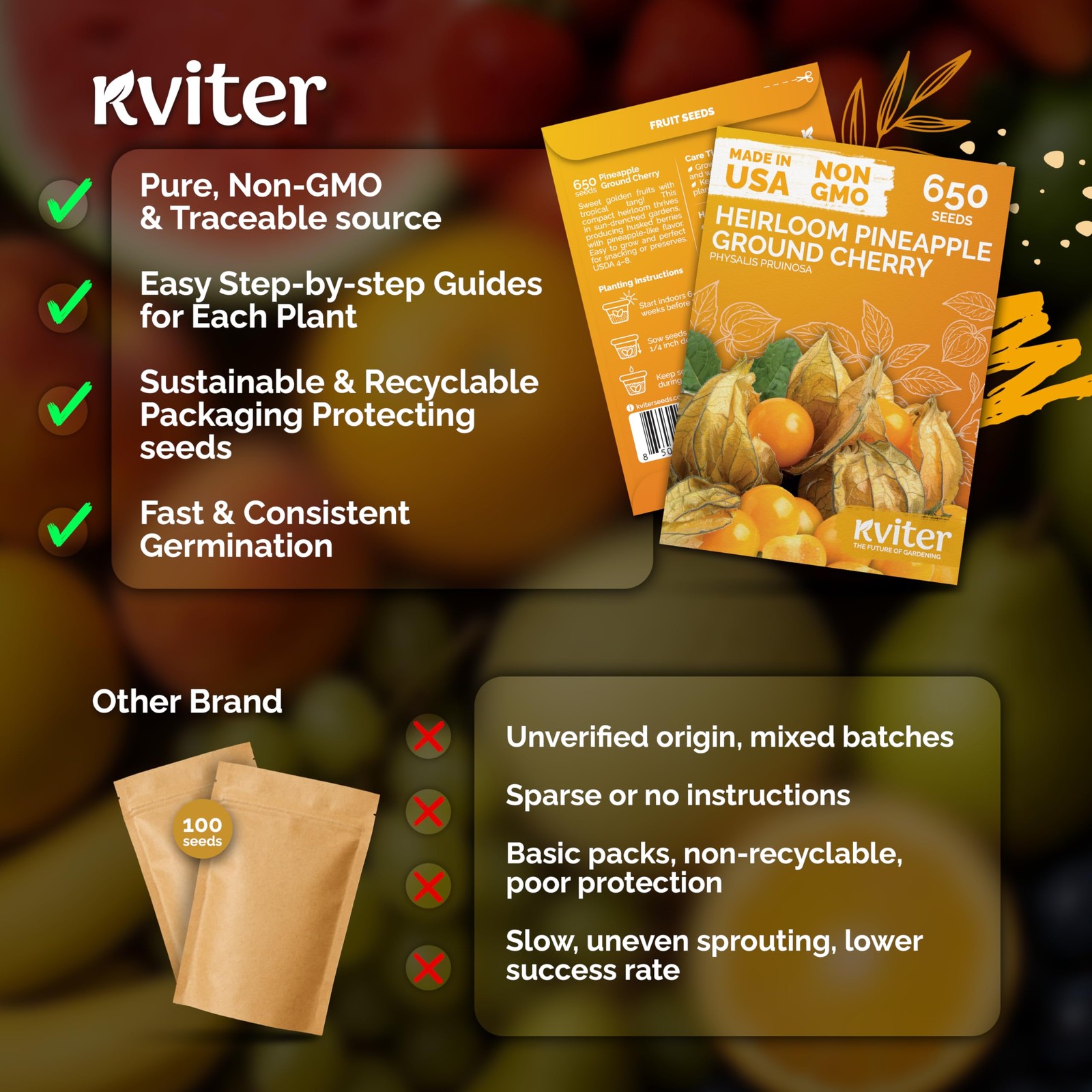 KVITER 650650 Pineapple Ground Cherry (Physalis Pruinosa) Seeds