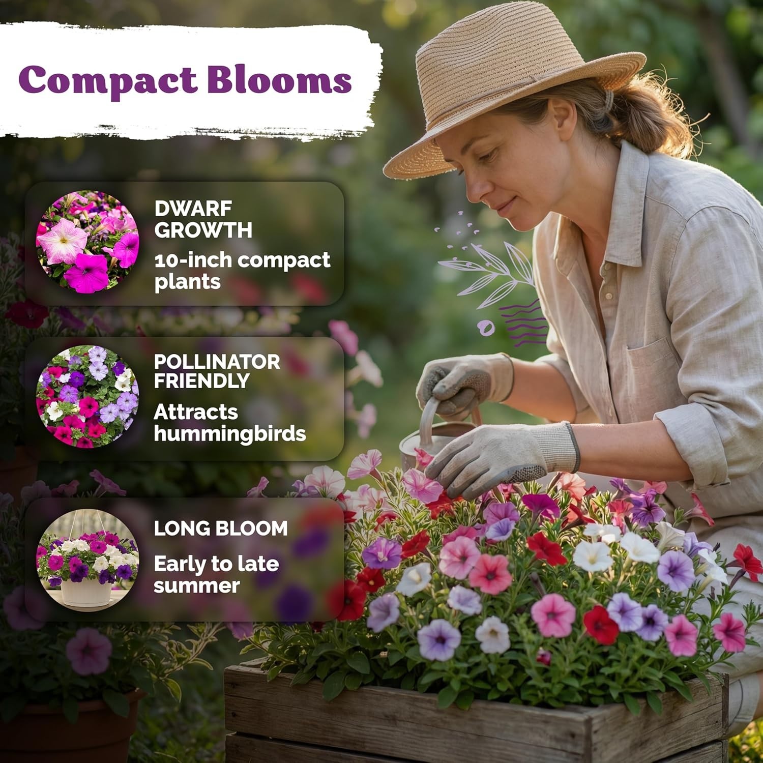 2,000 Non-GMO Mini Petunia Seeds – Ideal for Outdoor and Indoor Gardens