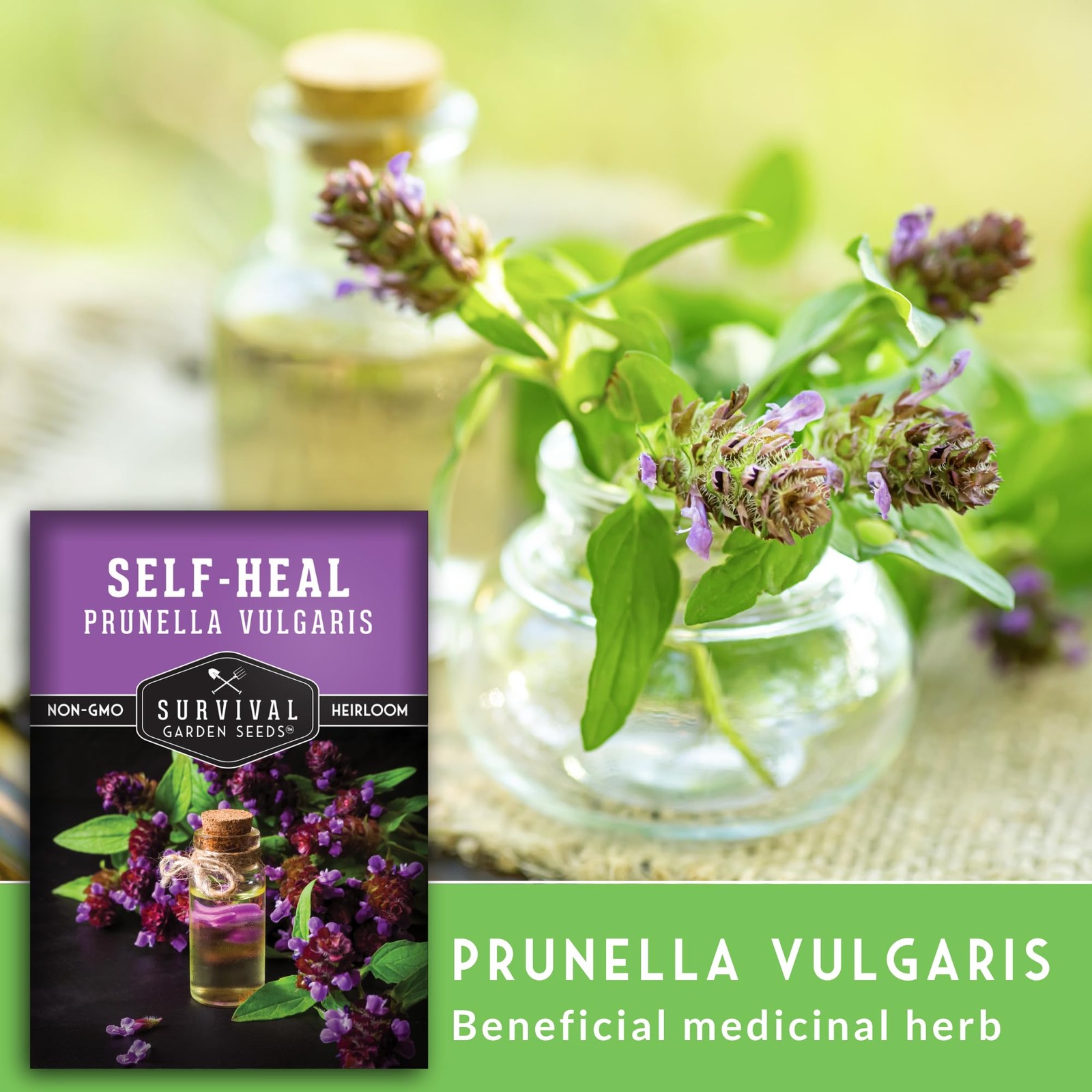 Self-Heal Seeds 2 Packs – Prunella Vulgaris Hardy Perennial Wildflower
