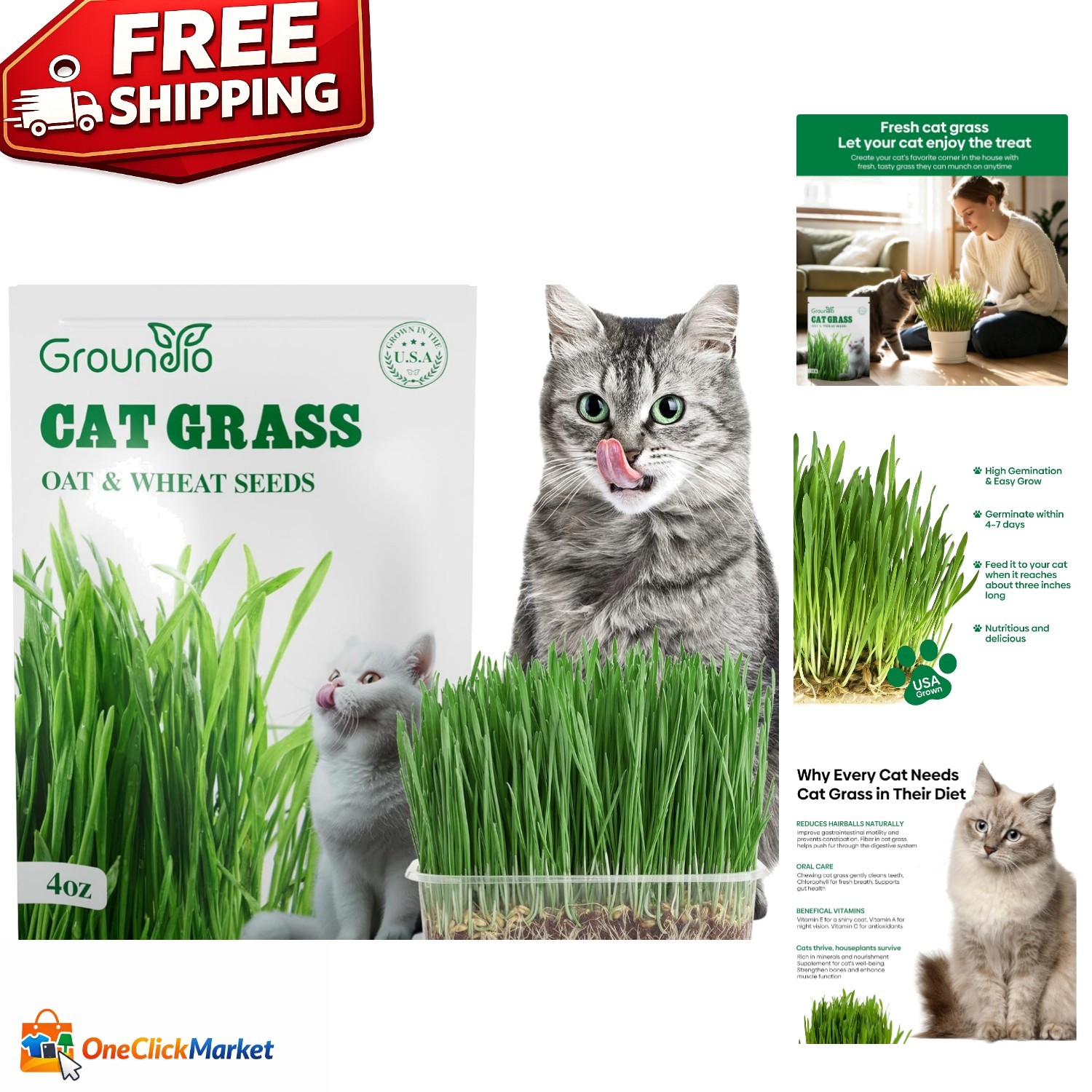 4 Oz Cat Grass Seeds Mix – Fast-Growing Non-GMO Wheat & Oat For Healthy Cats