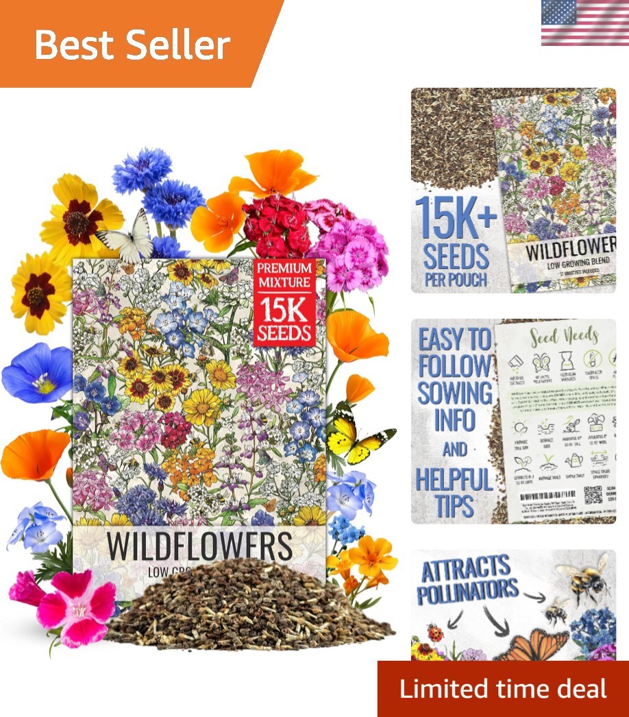 1 Ounce Low-Growing Wildflower Seeds Mix – Attract Butterflies & Pollinators