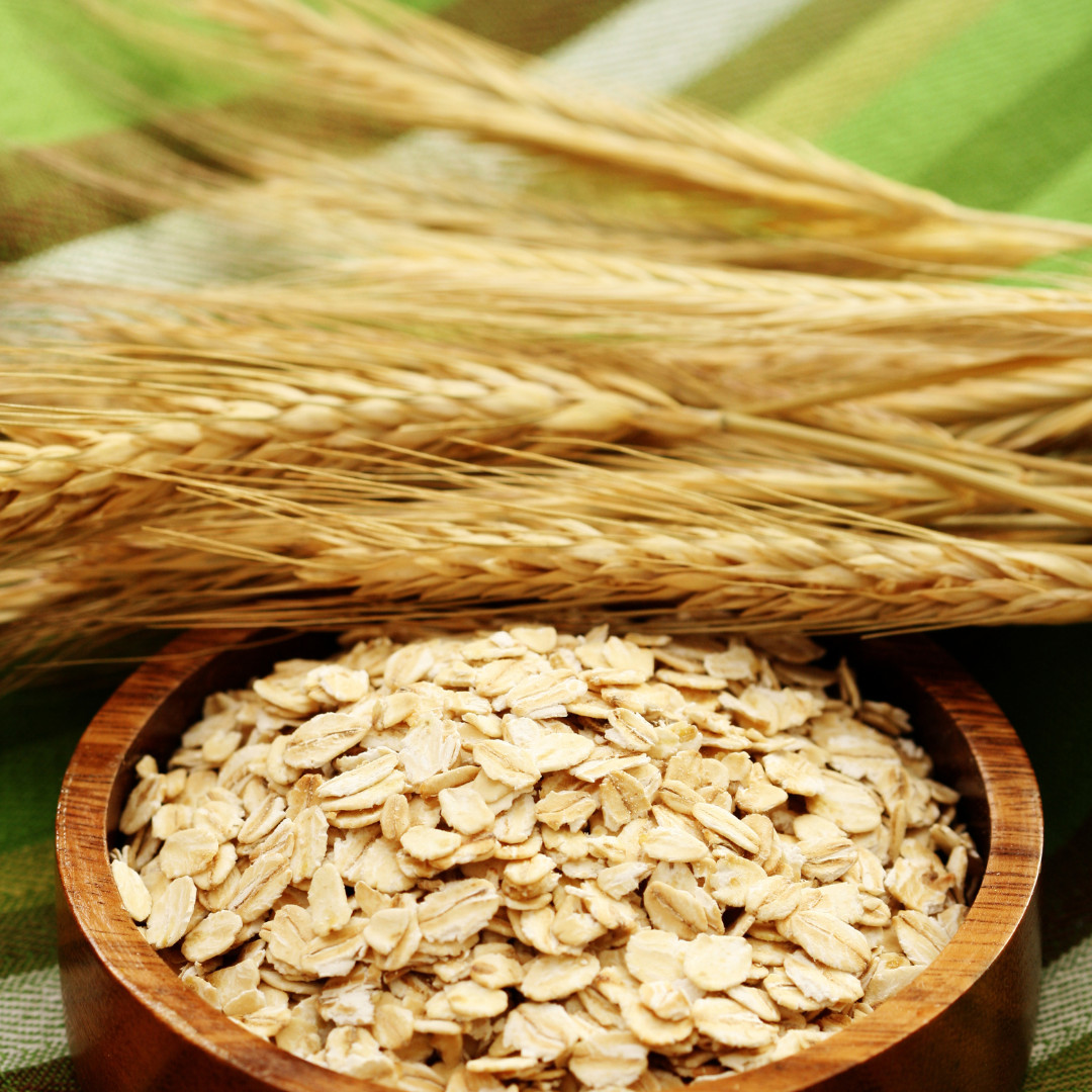 Fresh Premium Oat Plant Seeds | Organic | Hulless | Heirloom Non-GMO | Grains