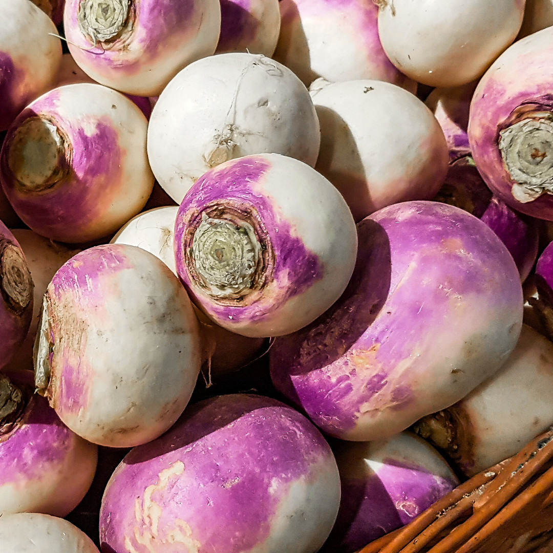 Fresh American Purple Top Rutabaga Seeds | Heirloom Non-GMO | Vegetable Seeds