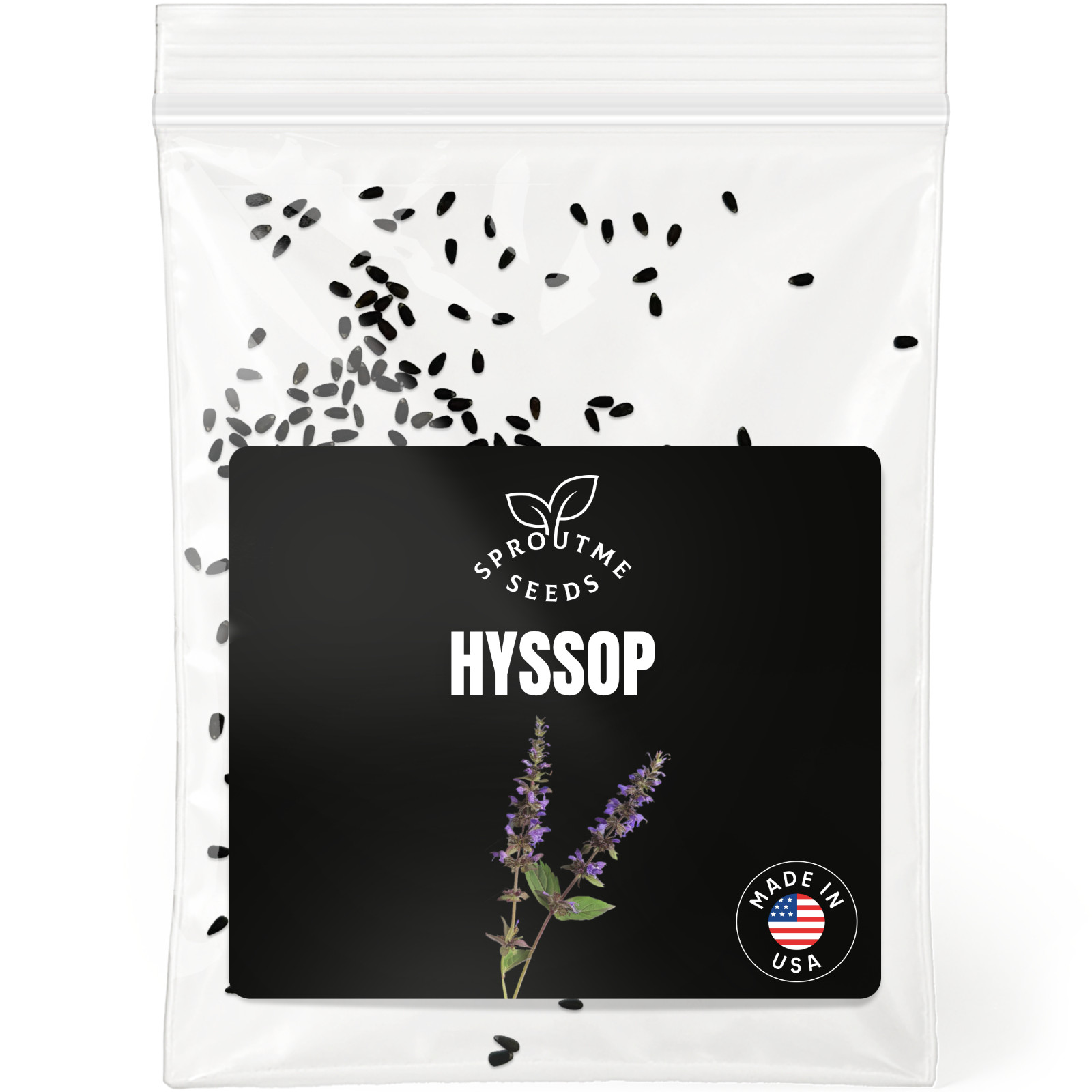 Hyssop Seeds 150+, Heirloom Non-GMO, Blue Flowers Pollinator & Tea Herb