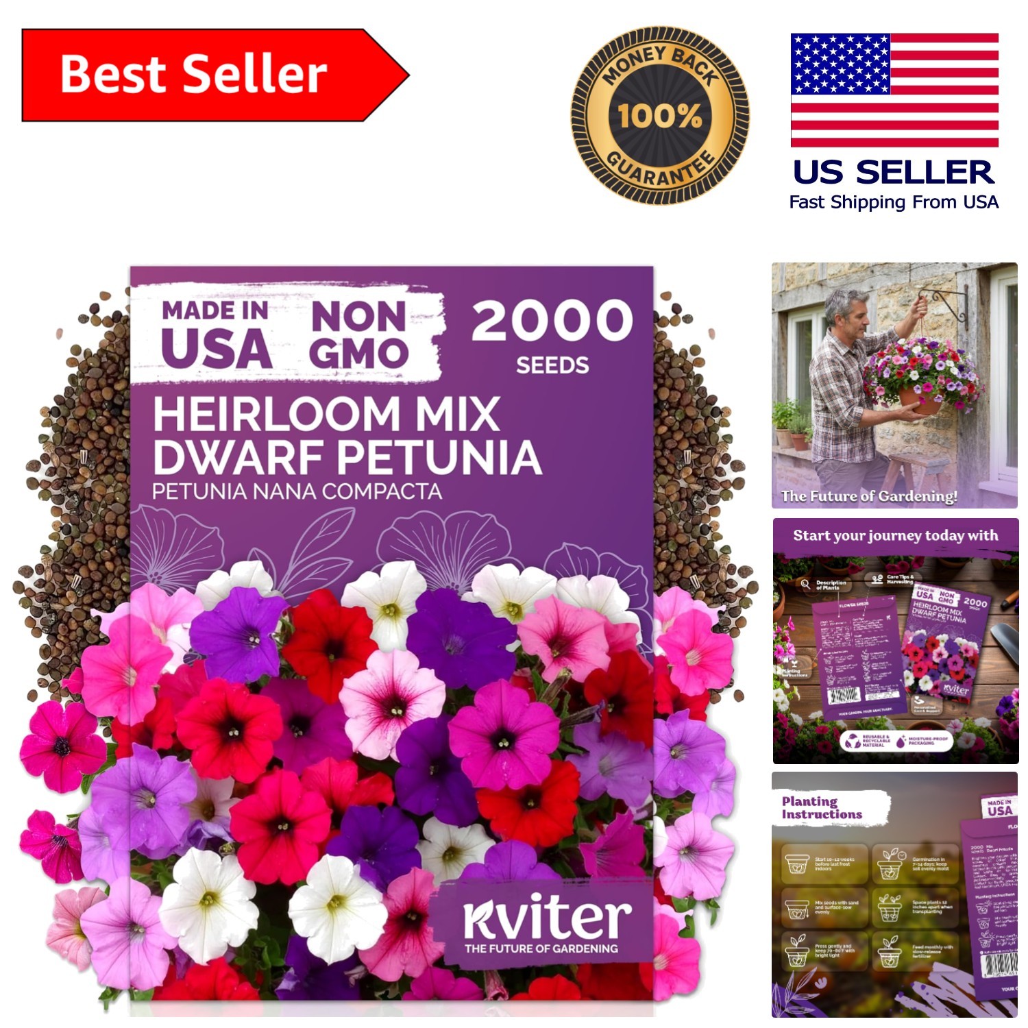 2,000 Non-GMO Mini Petunia Seeds – Ideal for Outdoor and Indoor Gardens