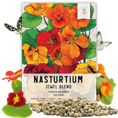 350+ Nasturtium Seeds for Planting – Jewel Mixture (Tropaeolum Nanum) Non-Gmo