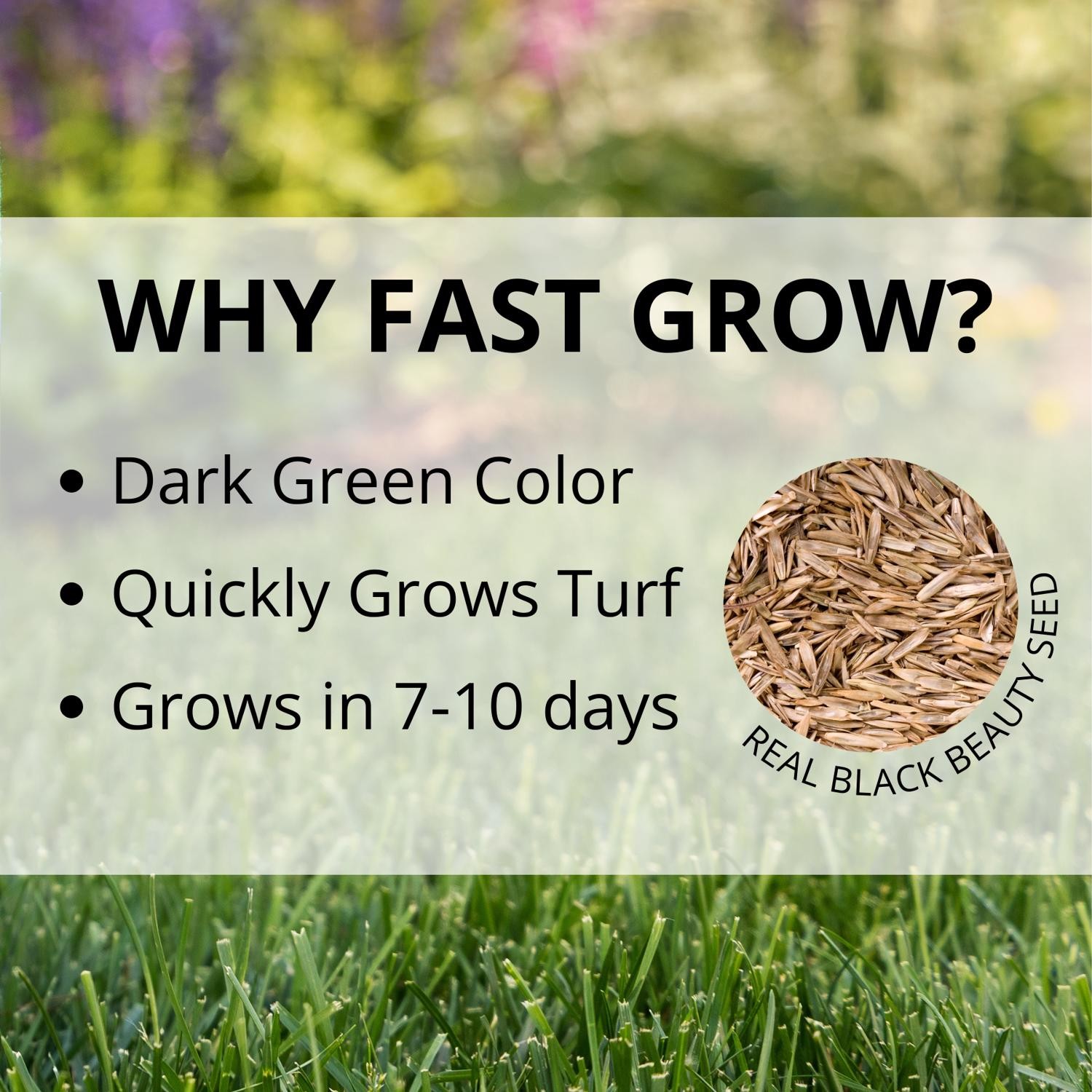 Jonathan Green Fast Grow Mixed Sun or Shade Grass Seed 25 lb