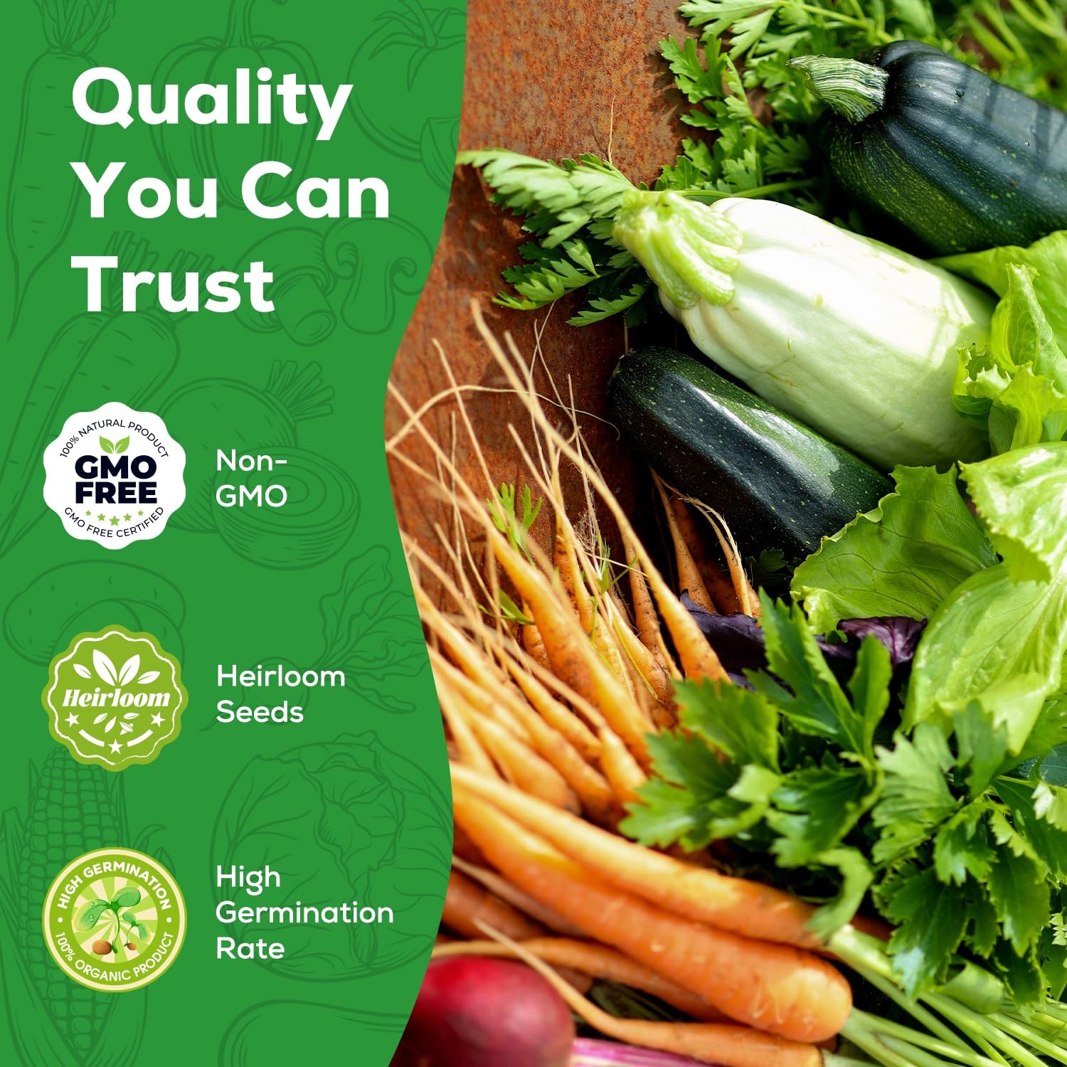 10 Vegetable Seeds Pack – Heirloom – Basil, Snap Pea, Broccoli, Bean, Jalapeñ…
