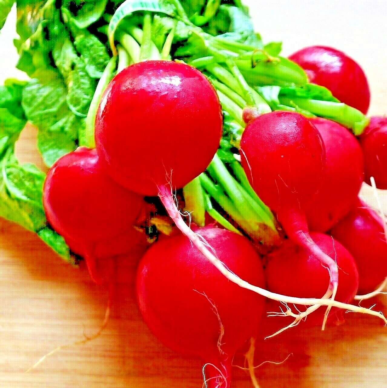 300+ CHERRY RADISH SEEDS VEGETABLE SPRING GARDEN SALADS HEIRLOOM NON-GMO USA