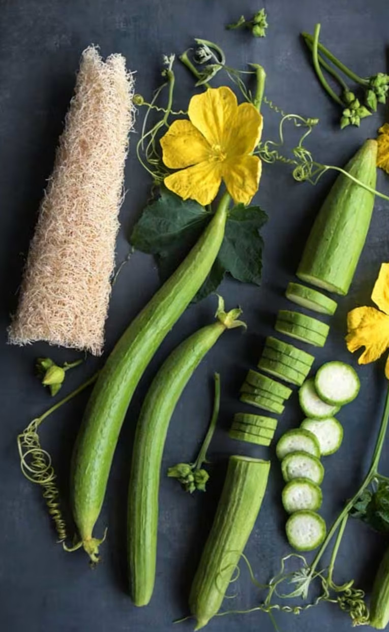 50 Super Long Luffa Gourd Seeds – Non-GMO, Luffa Sponge Gourd Seeds.