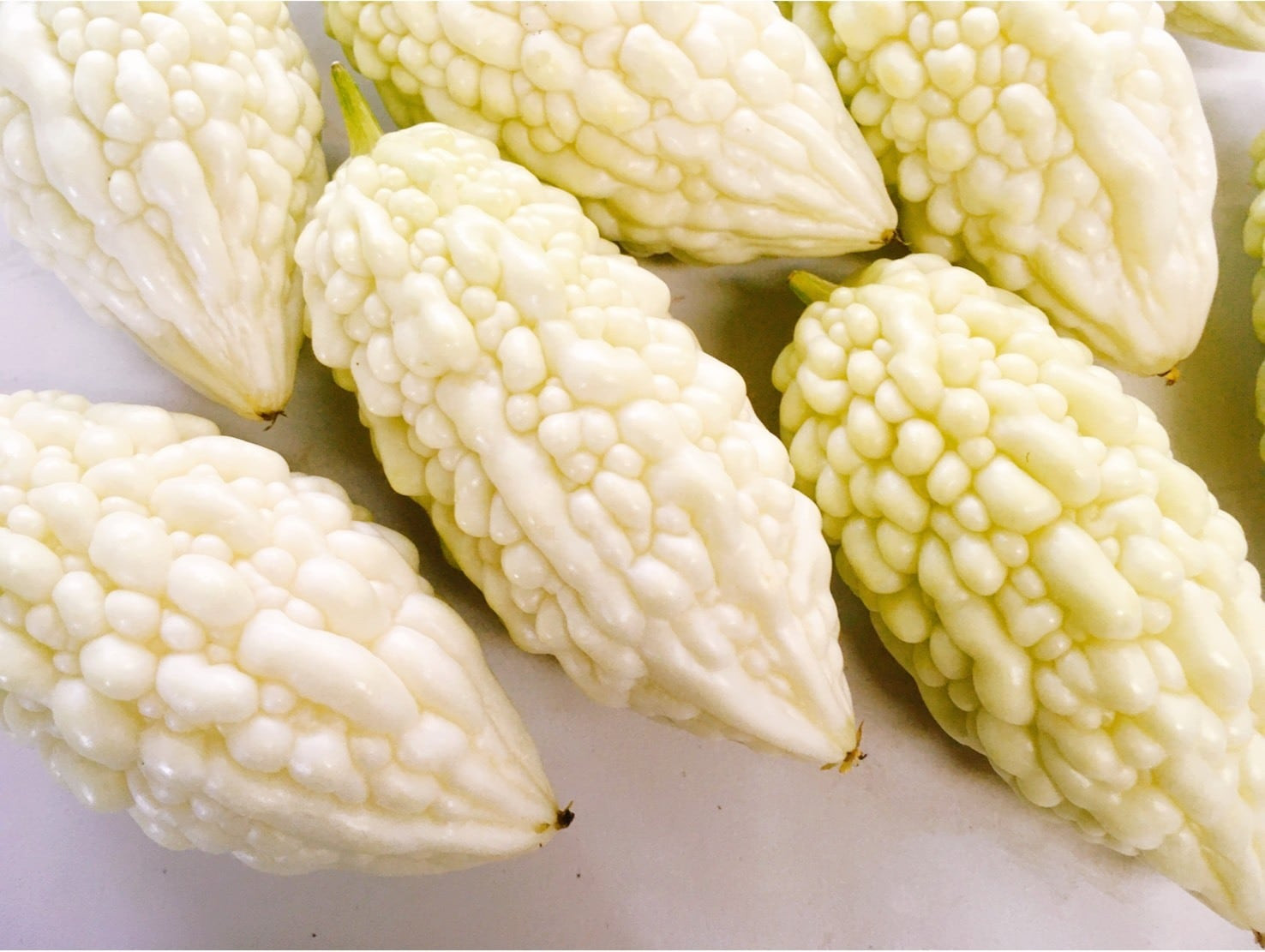 🌱Japanese Heirloom Bitter Melon Jyunpaku Pure White 6 Seeds