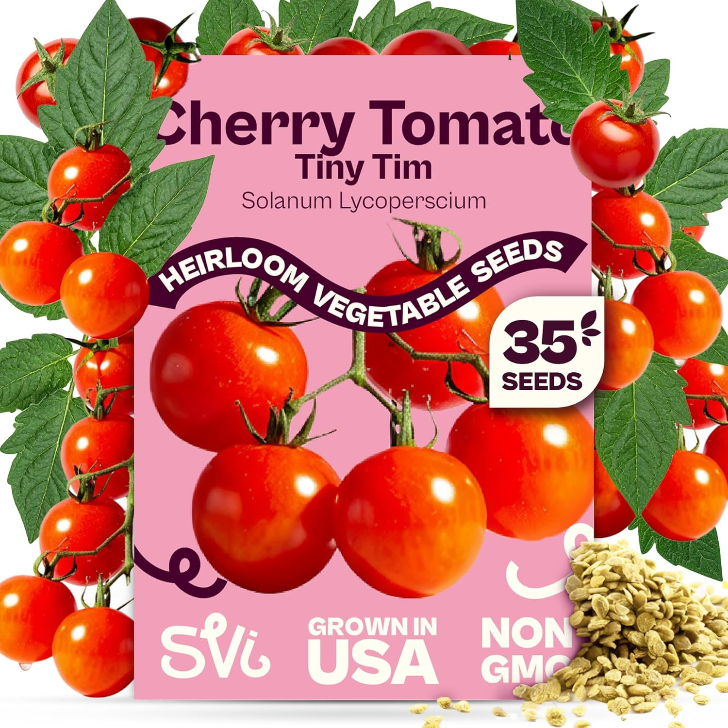 35 Cherry Tiny Tim Tomato Seeds (Solanum Lycoperscium) – Dwarf Cherry Tomato See