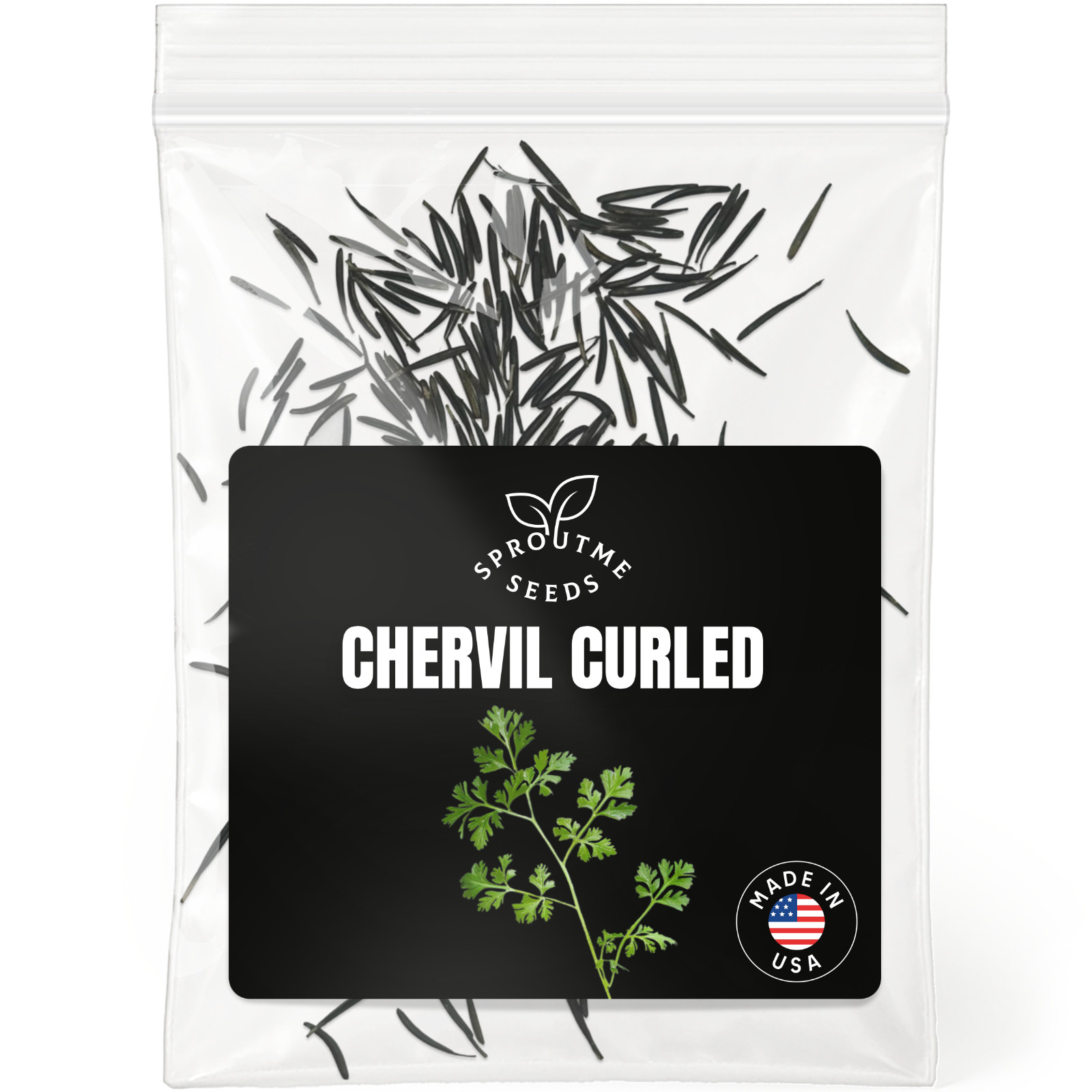 Curled Chervil Seeds 300+, Heirloom Non-GMO, French Herb for Salads