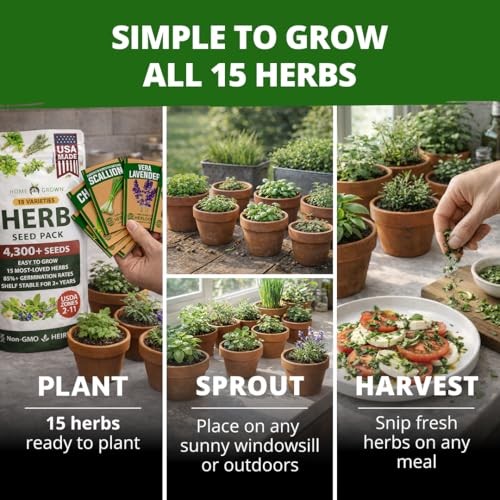 Herb Seeds for Planting Massive Seed Count 4,300+ 15-Pack Herb Seed Vault