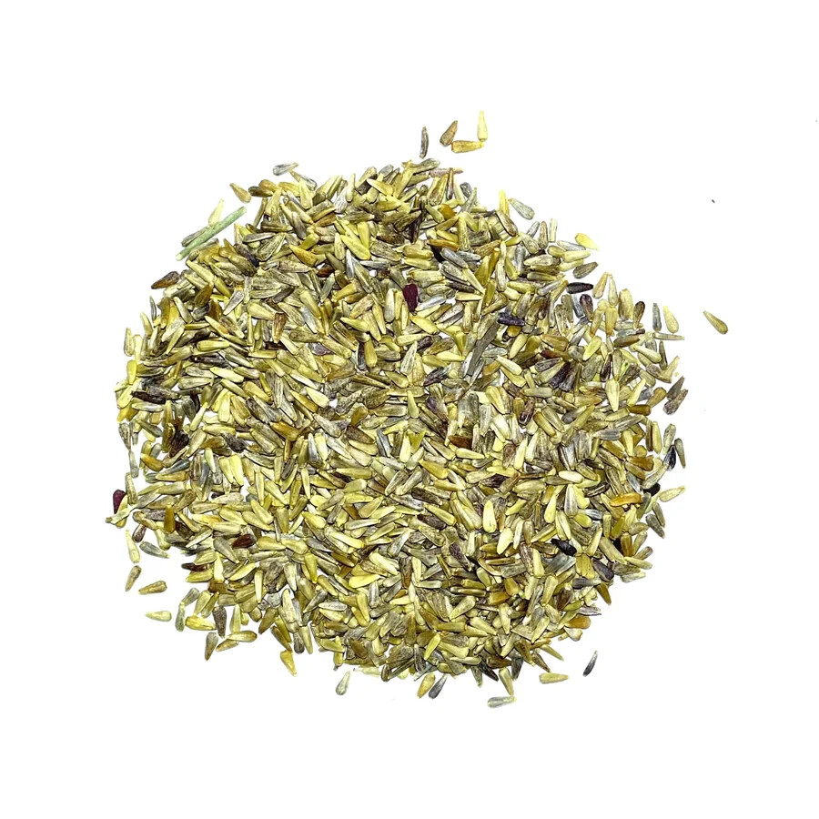 3 – Crego Mixture China Aster Seeds For Planting (Callistephus chinensis) 1,000