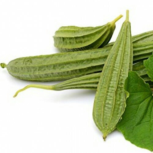BONANZA ANGLED LUFFA GOURD SEEDS, HẠT MƯỚP KHÍA